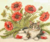 Схема вышивки «Poppies and Kitty»