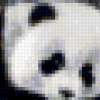 Три панды: предпросмотр