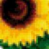 Sunflowers: предпросмотр