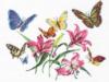 Схема вышивки «Бабочки над лилиями»