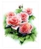 Схема вышивки «Чудные розы»