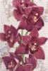 Лиловая орхидея: оригинал
