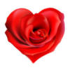 Схема вышивки «Роза-сердце»