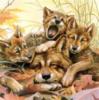 Схема вышивки «Семейство волков»
