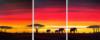 Africa Sunset Triptych: оригинал