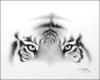 Схема вышивки «Tiger Eyes»
