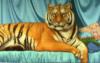 Схема вышивки «Sheeba Tiger»