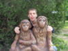 Три обезьяны: оригинал