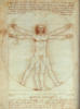 Схема вышивки «Леонардо да Винчи. Человек»