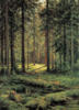 Хвойный лес Шишкин: оригинал
