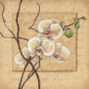 Схема вышивки «Восточные орхидеи»