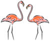 Flamingo: оригинал