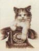 Схема вышивки «Котёнок и телефон»