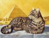 Египетская кошка: оригинал
