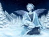 Схема вышивки «Ледяная фея»
