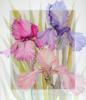 Схема вышивки «Подушка " цветы"»