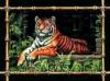 Схема вышивки «Тигр в бамбуке»
