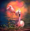 Фламинго на прогулке: оригинал