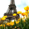 Париж Эйфелева башня: оригинал