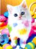 Схема вышивки «Разноцветный котенок»