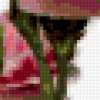 Carnations-подушка и картина: предпросмотр