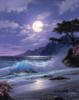 Схема вышивки «Ночь, луна, море....»
