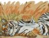 Схема вышивки «Год тигра»