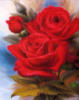 Схема вышивки «Три красных розы»