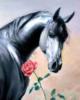 Схема вышивки «Лошадь и роза»