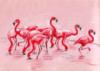 Схема вышивки «Фламинго»