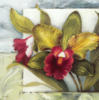 Схема вышивки «Подушка-орхидеи»