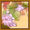 Схема вышивки «Подушка 41 Виноградные гроздья»