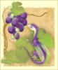 Схема вышивки «Саламандра и виноград»