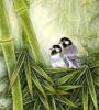 Гнездо и бамбук: оригинал