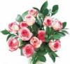 Схема вышивки «Подушка розовые  розы»