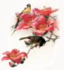 Схема вышивки «Подушка цветы и птицы»