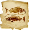 Схема вышивки «Гороскоп рыбы»