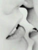 Черно-белый поцелуй: оригинал