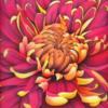 Chrysantemum-подушка: оригинал