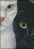 Схема вышивки «Чёрно-белые коты»