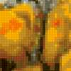 Букет желтых роз: предпросмотр