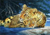 Схема вышивки «Леопарды Мама и малыш»