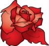 Схема вышивки «Подушка 49 Красная роза»