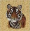 Схема вышивки «Подушка" тигр"»