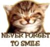 Схема вышивки «Never Forget To Smile»