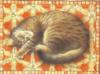 Схема вышивки «Подушка кошки»