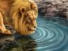 Схема вышивки «Лев на водопое»