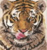 Схема вышивки «Тигр подушка»