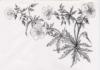 Схема вышивки «Монохром цветы»