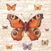 Схема вышивки «Бабочки Подушка и картина»